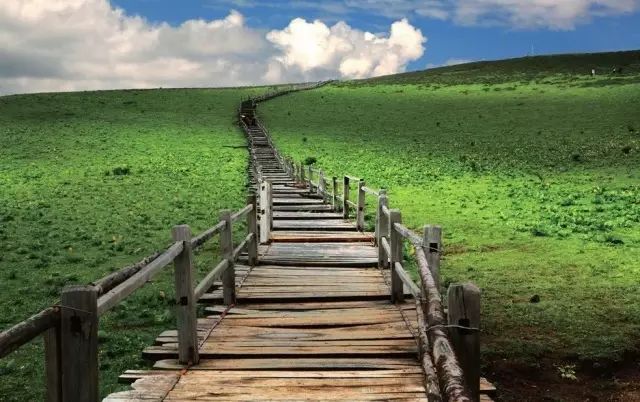 宛若故里·丽江 | 走得太远，总要选择一种方式回归故里-12