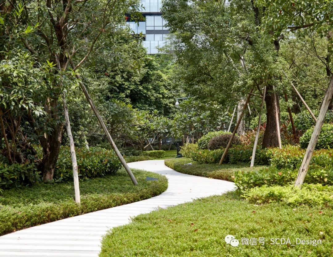 SCDA Architects | OCT 新天鹅堡，建筑与自然的绝美交响-27