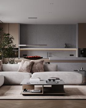 Visualization of the kitchen living room