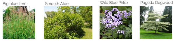 可持续设计相关项目(含公交站,社区花园,农业项目等)丨美国费城-18