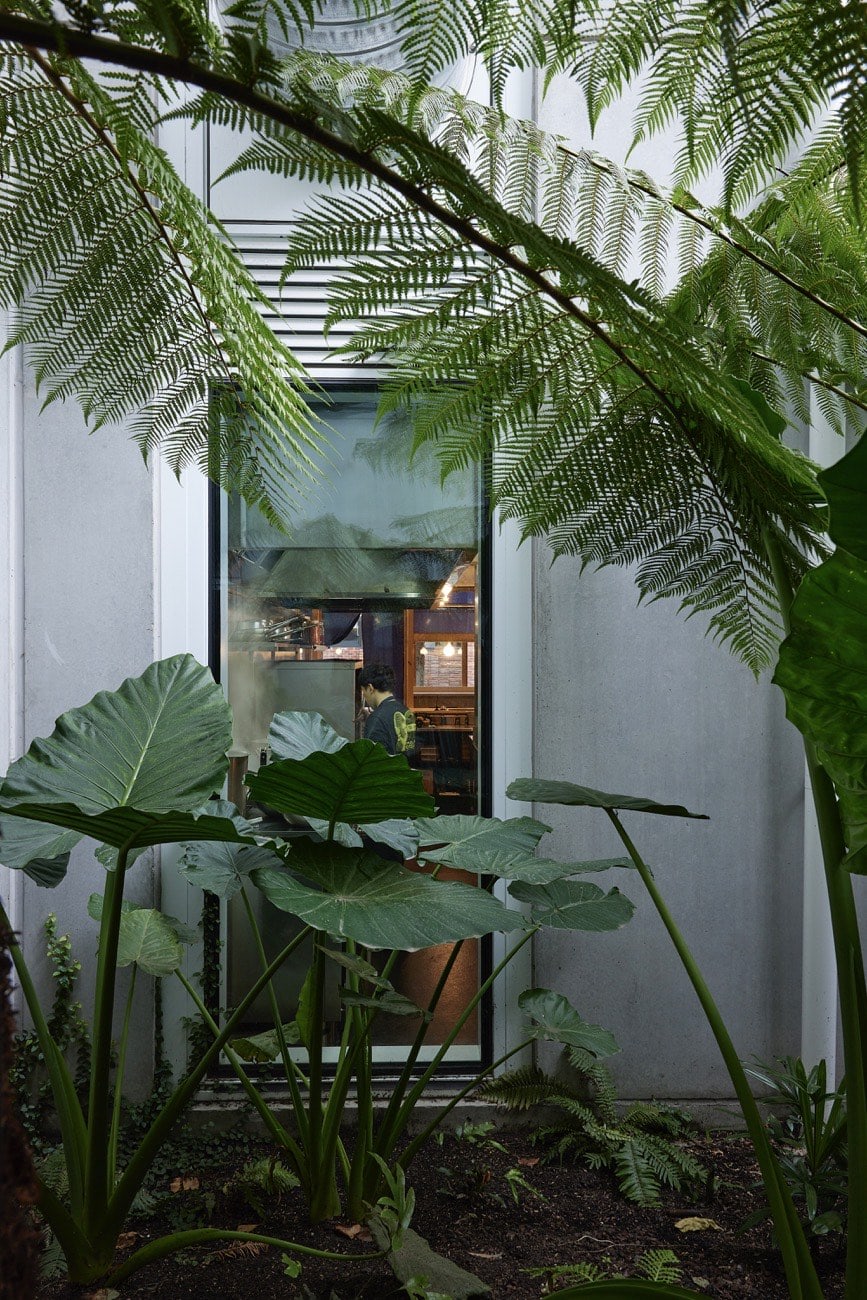 由于 Ima Asa Yoru 可能是特定语境中的内容，从常规英文角度看它不是正确的英文表达，推测可能是日语发音，今 朝 夜 罗马音为 Ima Asa Yoru，对应的中文是 现在 早上 晚上  丨GermanyBrunswick丨Breathe-10