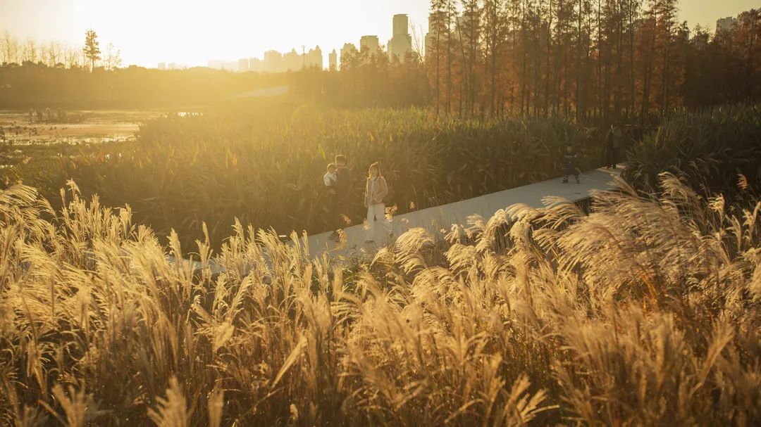 南昌鱼尾洲公园丨中国南昌丨土人设计-69