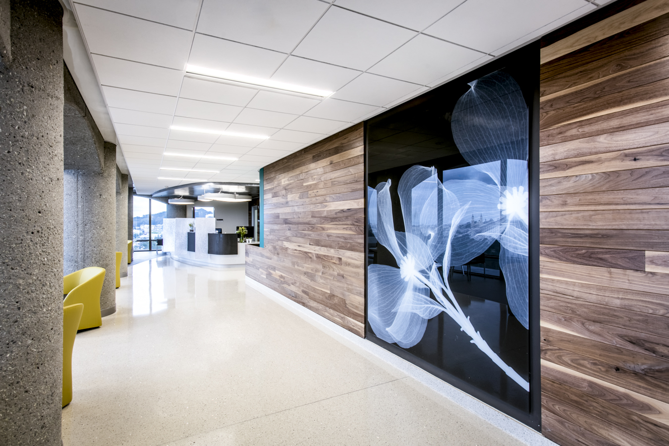 加州大学旧金山分校 ACC 五楼心脏血管诊所 | 城市景观与自然之美的融合-0