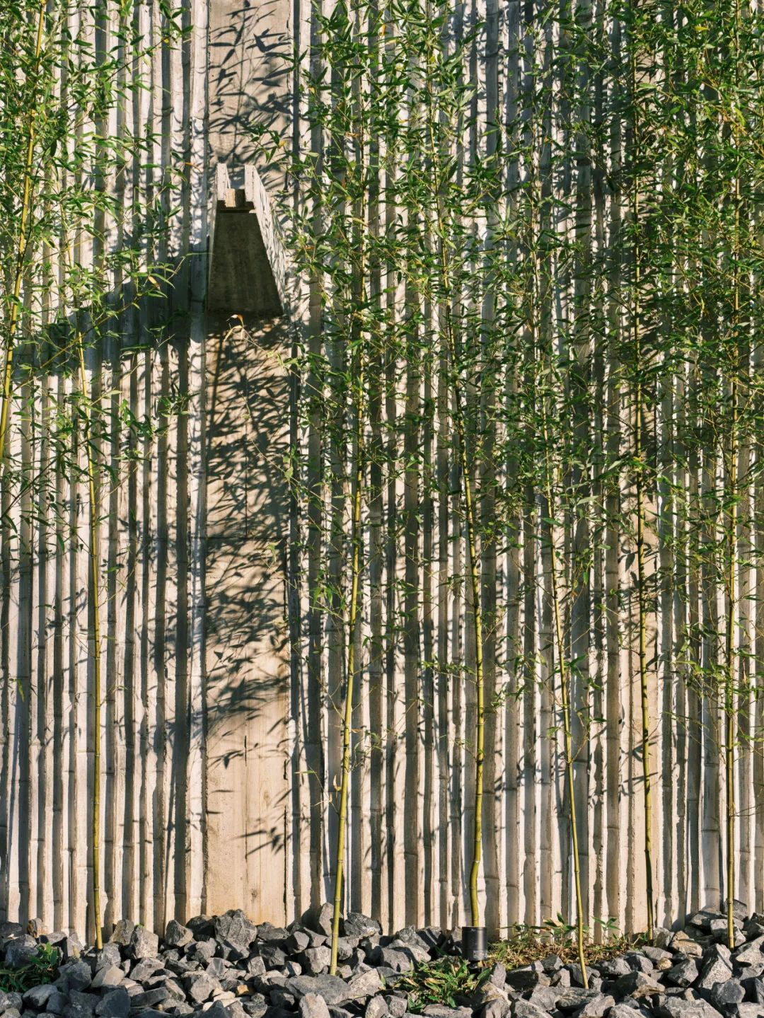 C4L 之家丨日本东京丨CUBO design architect-19