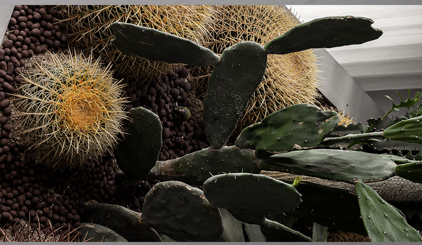 彩虹郦城 · 李斌的 165㎡现代住宅空间设计丨中国咸阳丨西安恩集建筑空间艺术有限公司-0