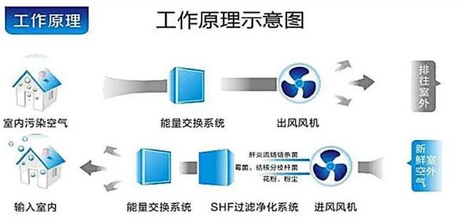 海上湾华庭紫园 | 法式轻奢独栋别墅的雅致时光-105