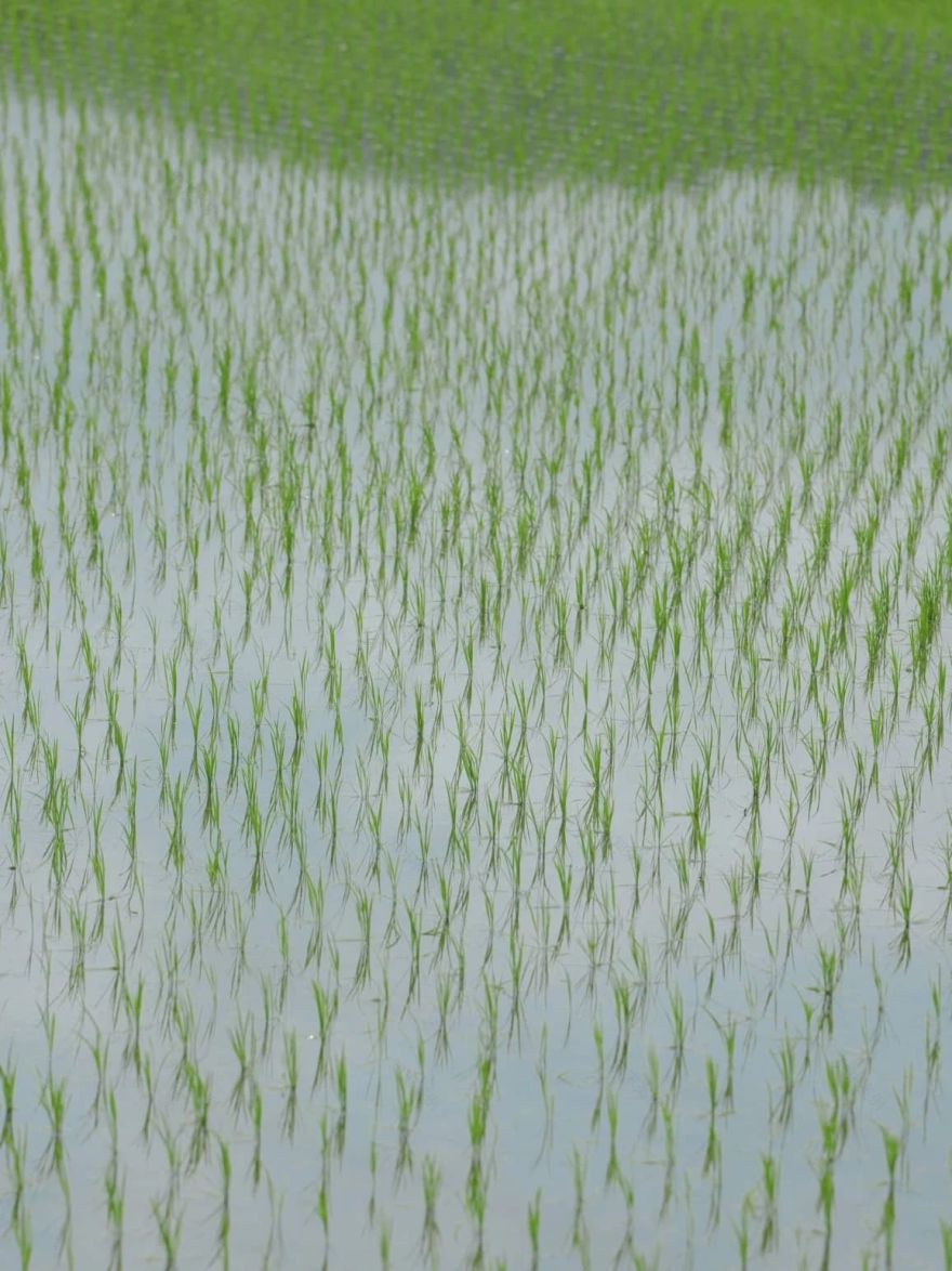 SHINPAKU·民宿丨日本丨Hitotomori建筑设计事务所-56