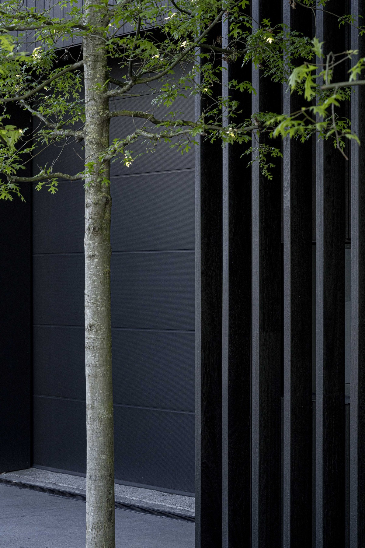 Wooden Beams Facade Cladding | Woodstoxx Facade-47