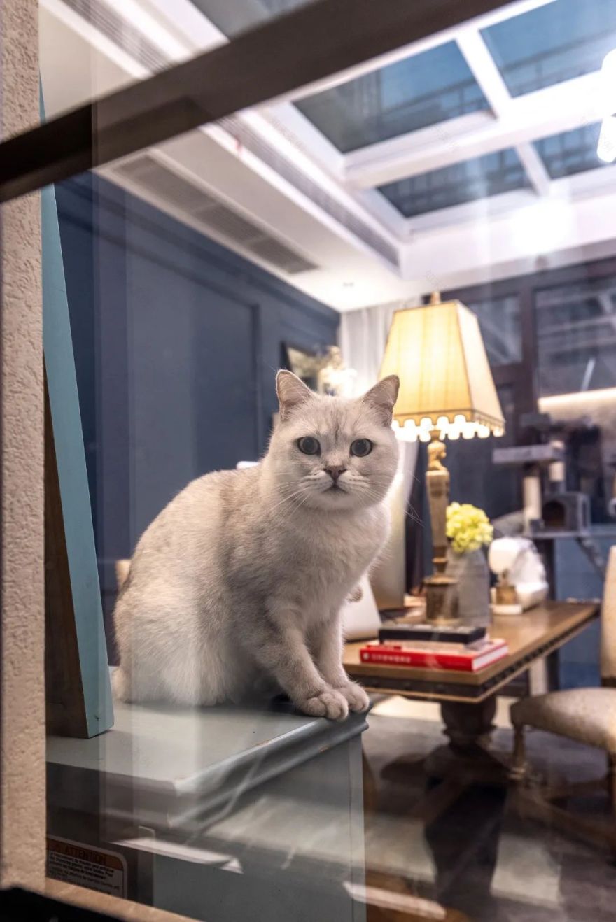 溪栖庄园奢美独栋别墅设计丨形者美学 SXZ.design-40