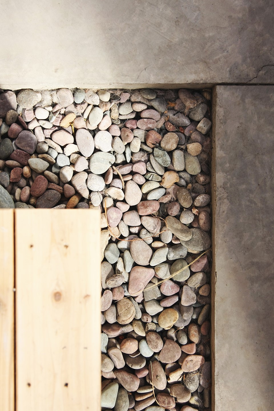 Home Away 住宅 | 共享温室里的现代生活-20