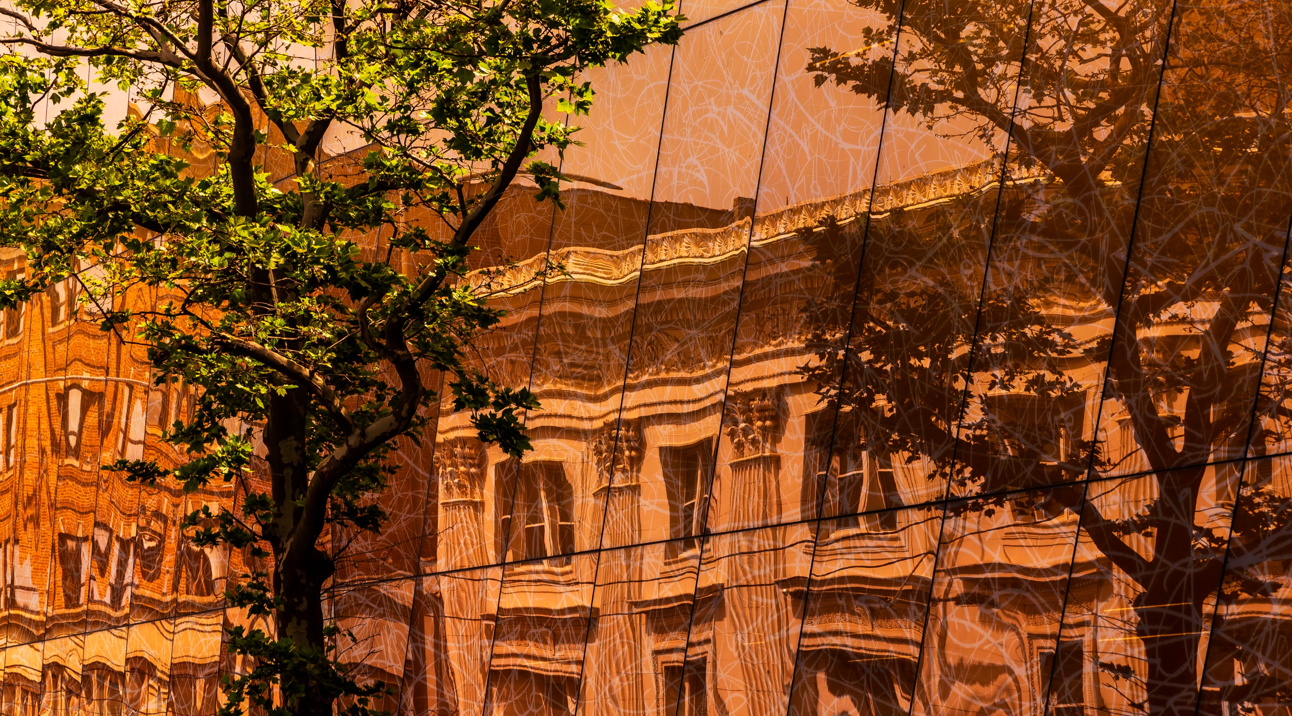 法拉盛图书馆丨美国纽约丨Snøhetta-13