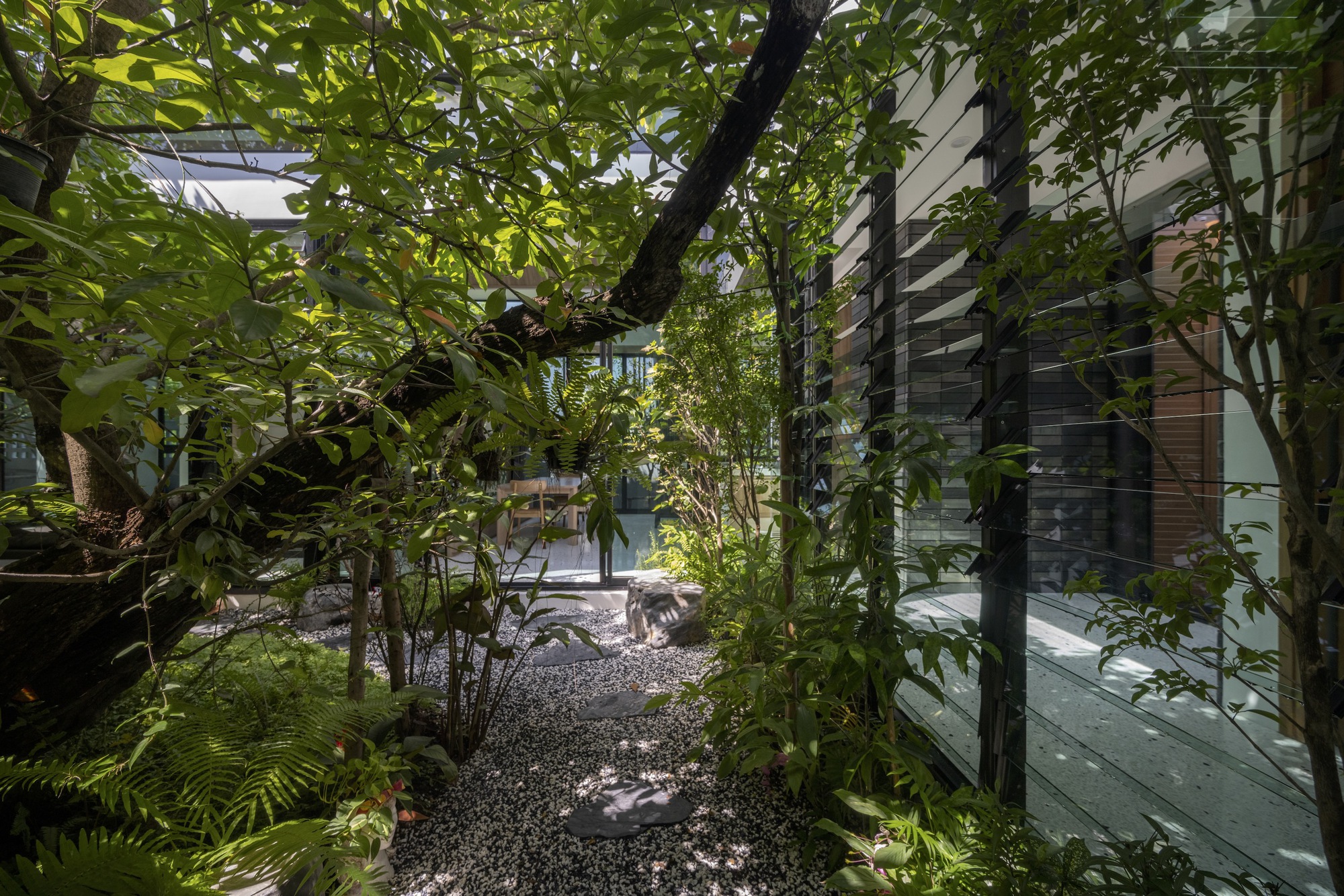 树的房子丨泰国曼谷丨Studio Bewell-26