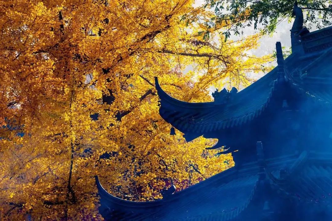 和子养生（南京河西店）丨中国南京丨有劃設商业设计,之几美学-0