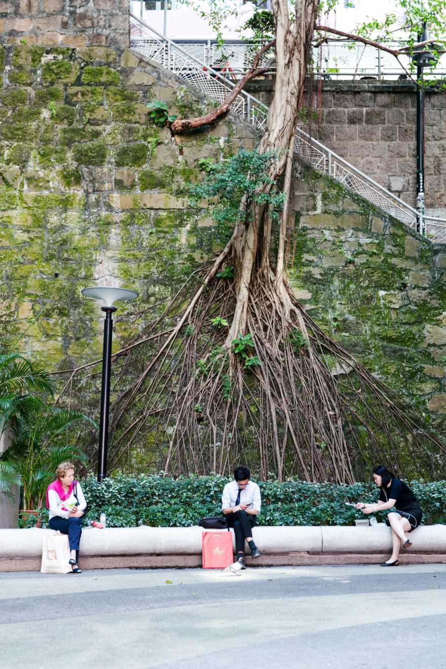 湾仔更新项目丨中国香港丨欧华尔顾问有限公司-16