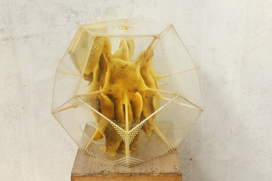 元塑系列作品 · 任日与蜜蜂的共生艺术-71