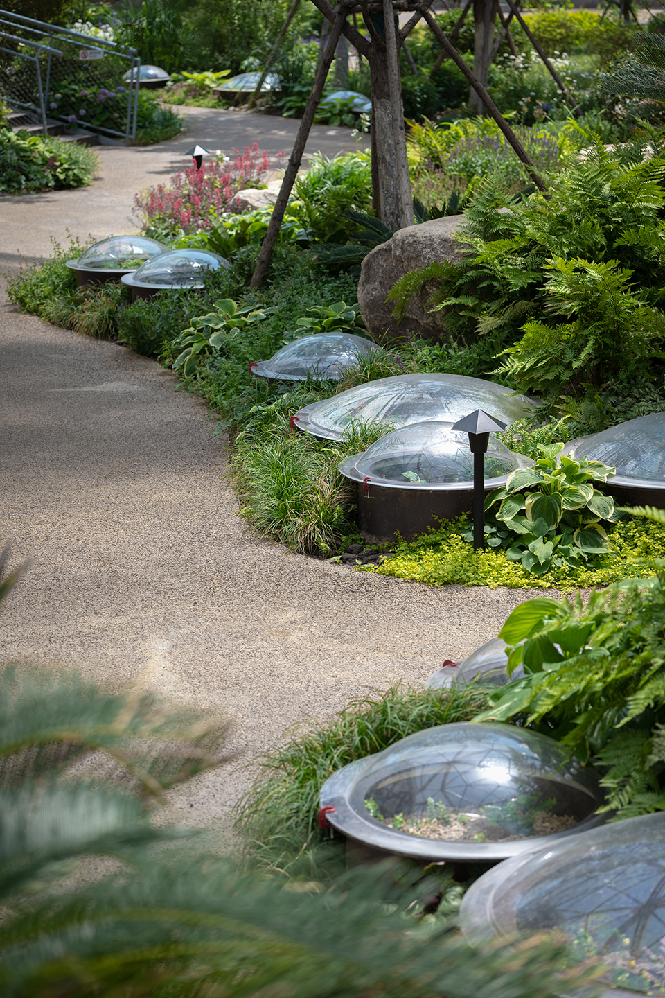 南京第11届江苏省园艺博览会博览园未来花园丨中国南京丨北京多义景观规划设计事务所和北京林业大学园林学院-47