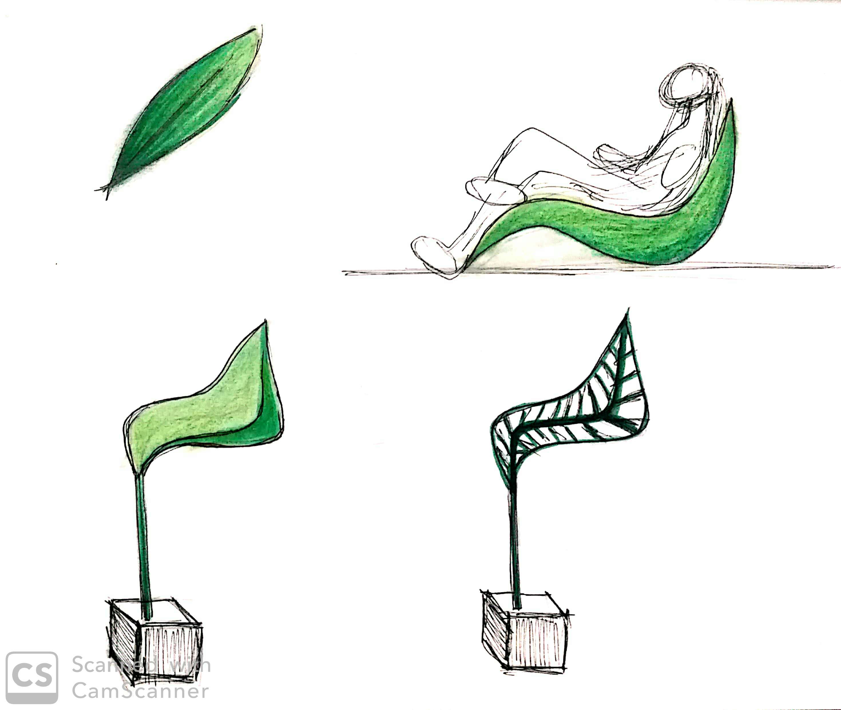 Croquis - Biomimétisme-4