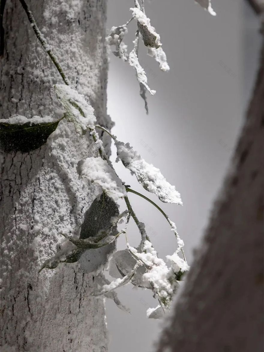 melt season 前滩太古里快闪店丨中国上海-14