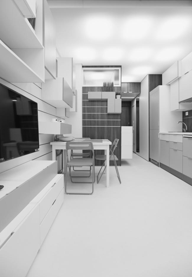 小面积公寓设计概念项目丨俄罗斯莫斯科丨Arch group-6