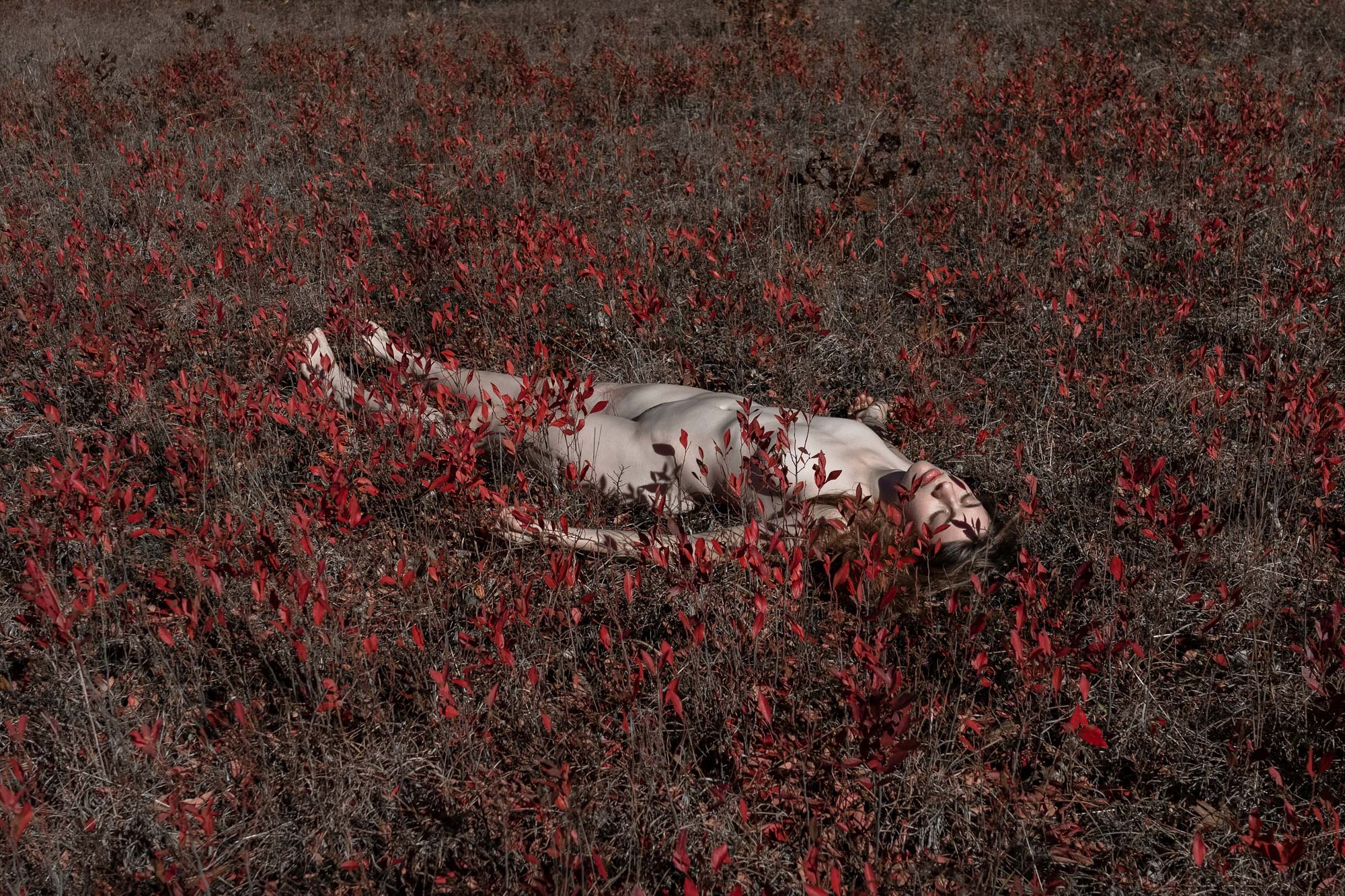 梦幻般的花语 | 摄影师 Brooke DiDonato 的家与创作-39