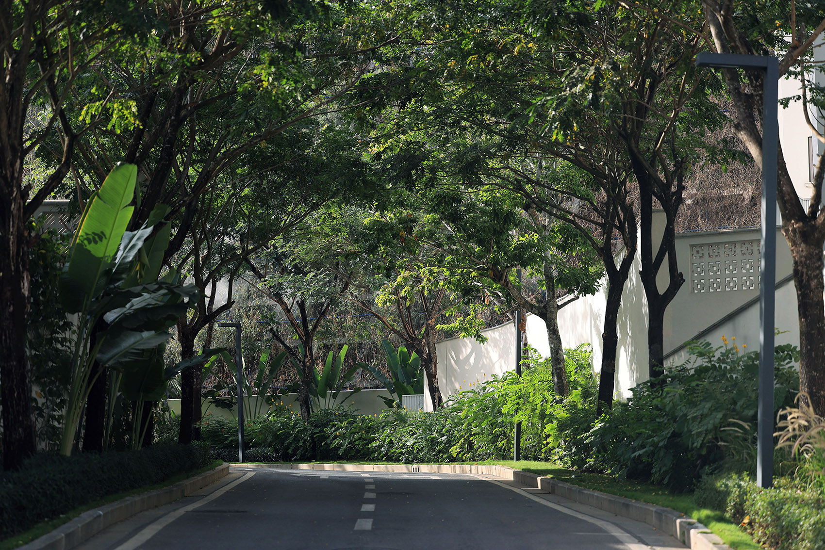 阿那亚三亚南花园丨中国三亚丨Z’scape致舍景观-202