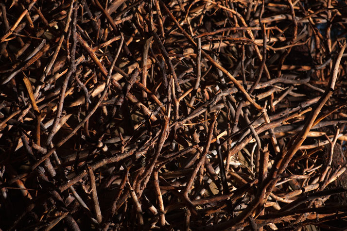 Treehotel...Sleep in Nature!-33