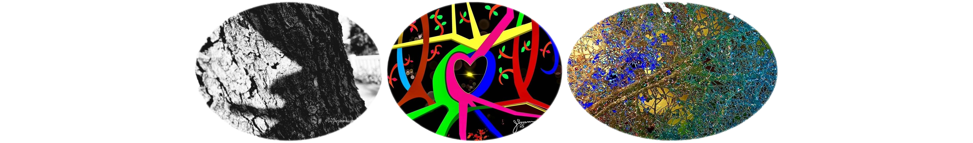 世界上的树木丨Sylvie D.-137