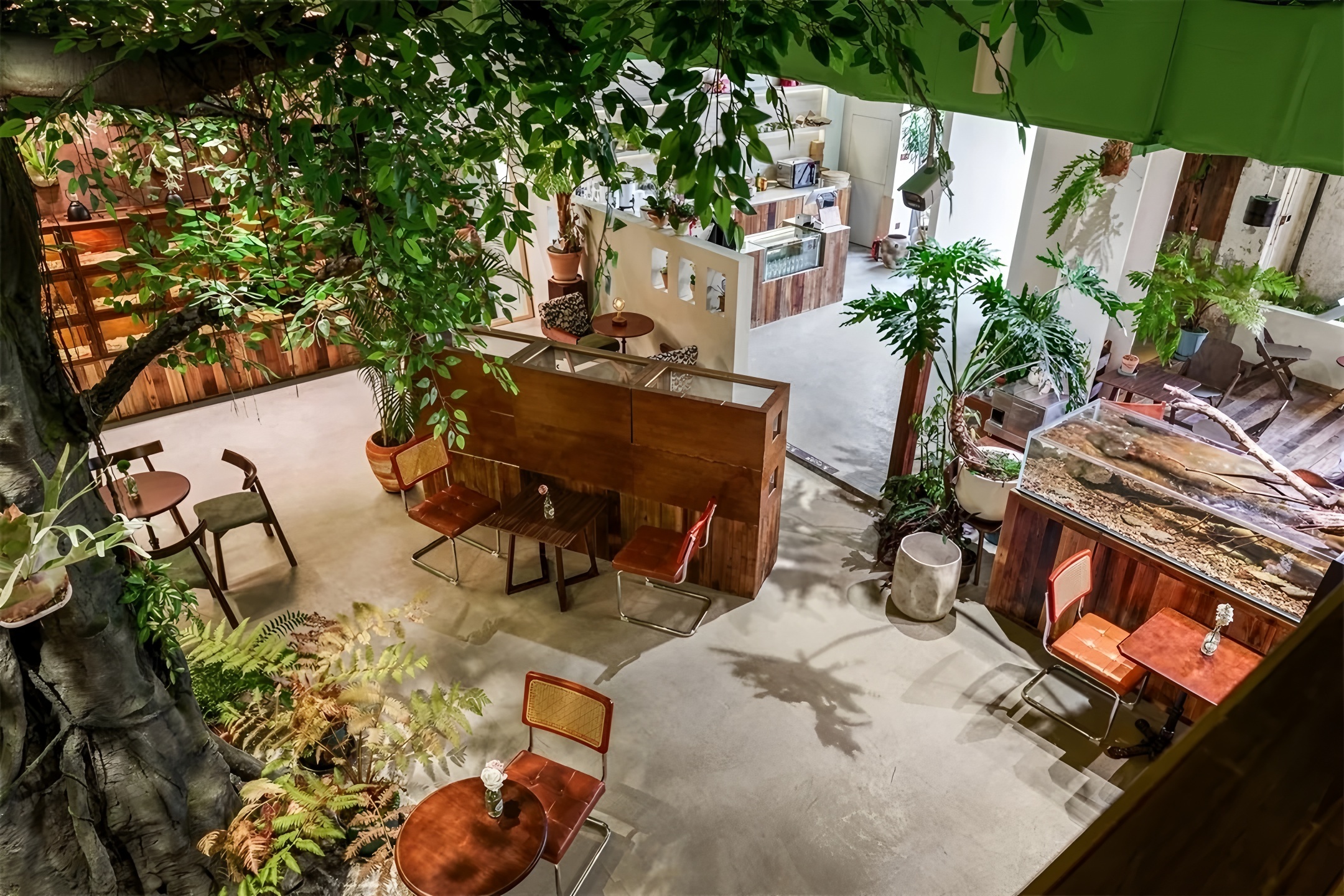 《绿觅 · 尾巴屋》西安宠物店丨中国西安丨陕西梁辰造物建筑设计-26