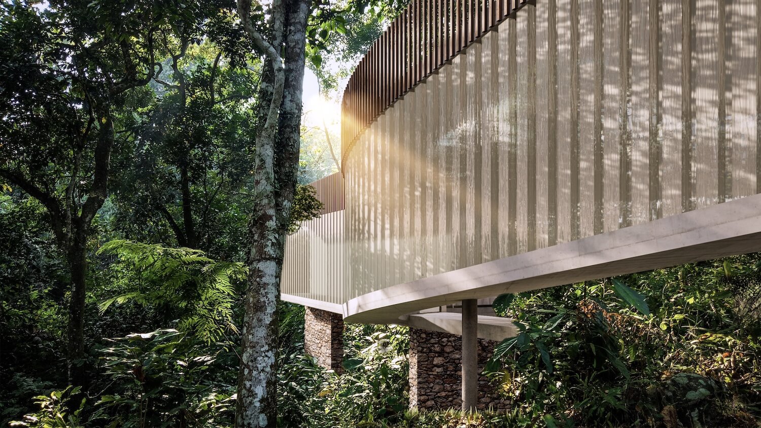 《树上的房子》-2