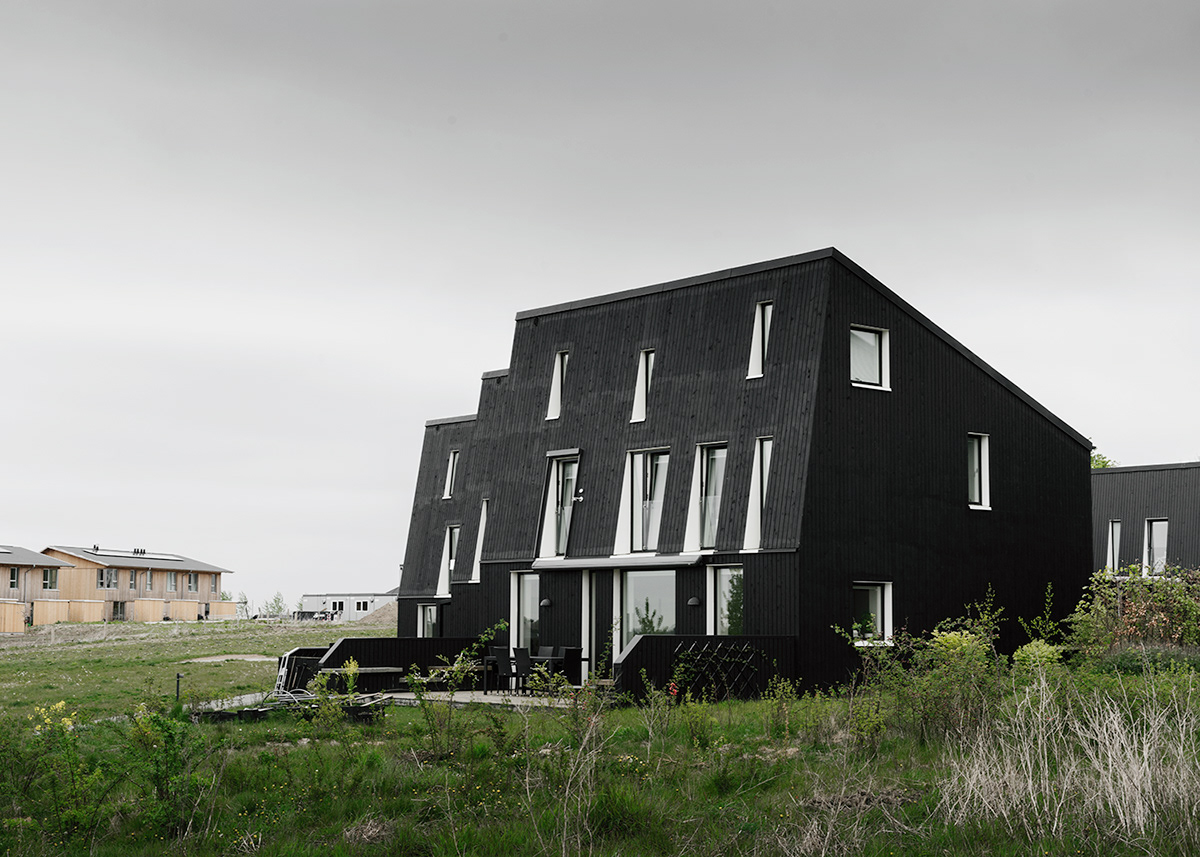 Anastasiya Gushchina丨别墅建筑丨Svalin-3