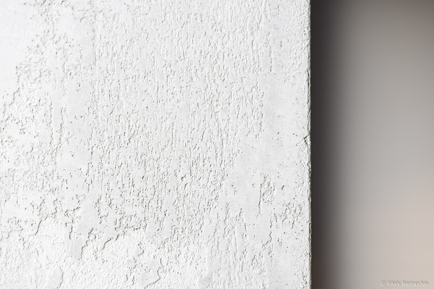 杰卡特办公室丨俄罗斯莫斯科丨Vitally Rastopchin-1