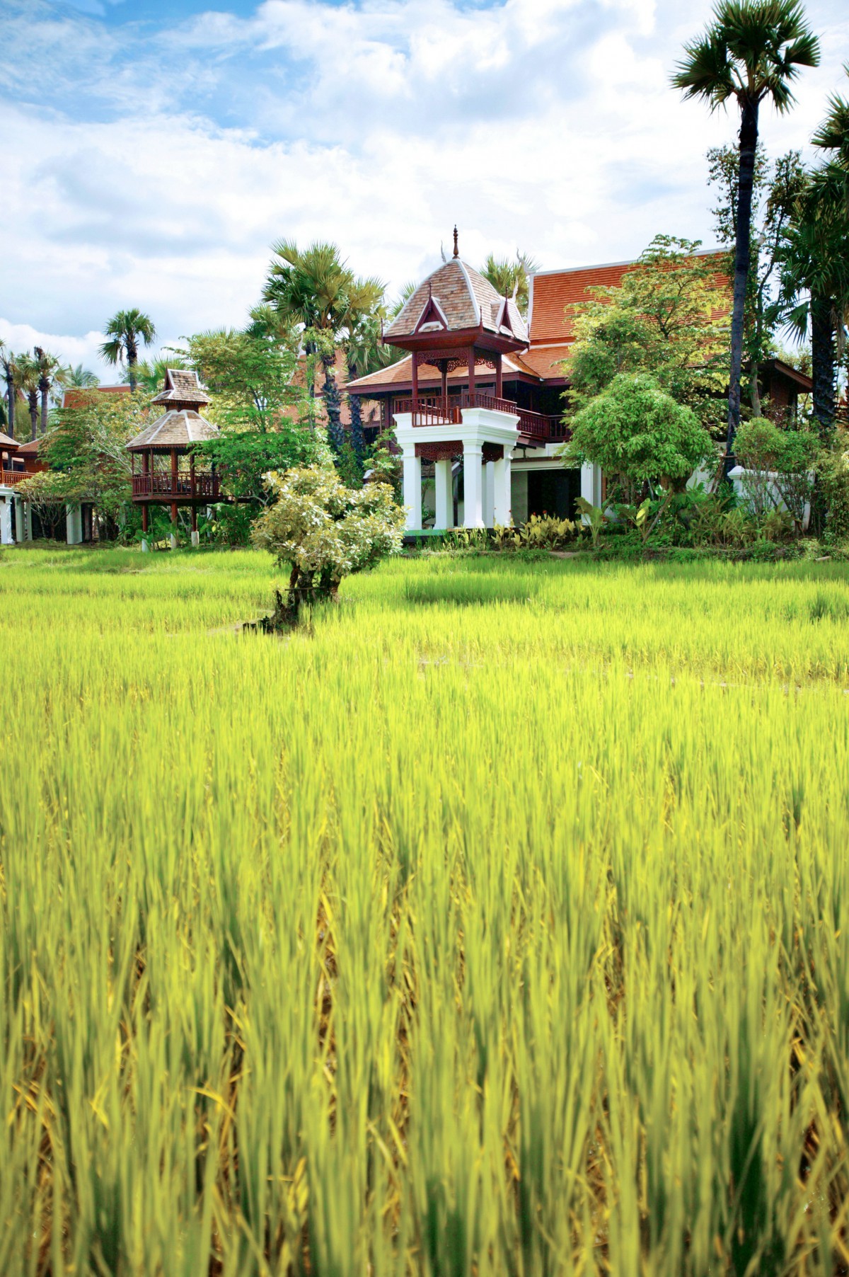 泰国清迈文华东方酒店-22