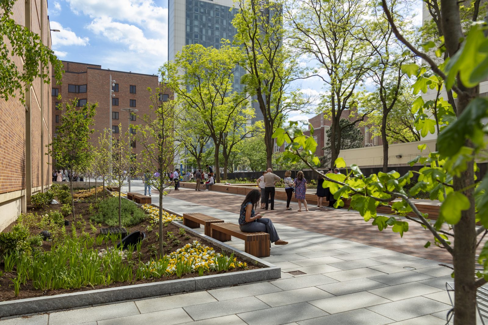 Temple University Liacouras Walk South: “The Cut”-3