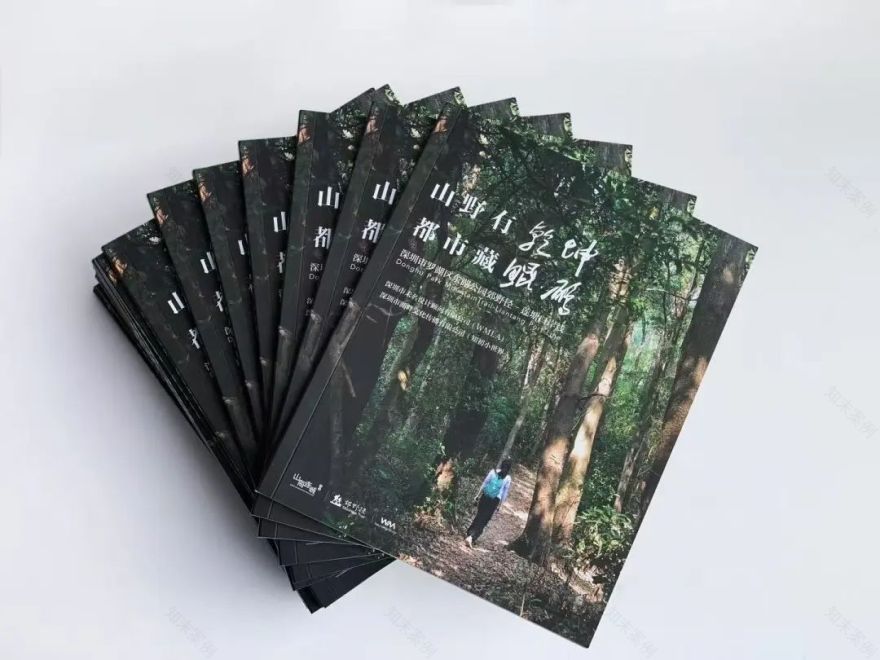 未名新作|山野有乾坤都市藏鲲鹏-深圳山海连城计划罗湖区东湖公园郊野径-莲塘口岸线-209