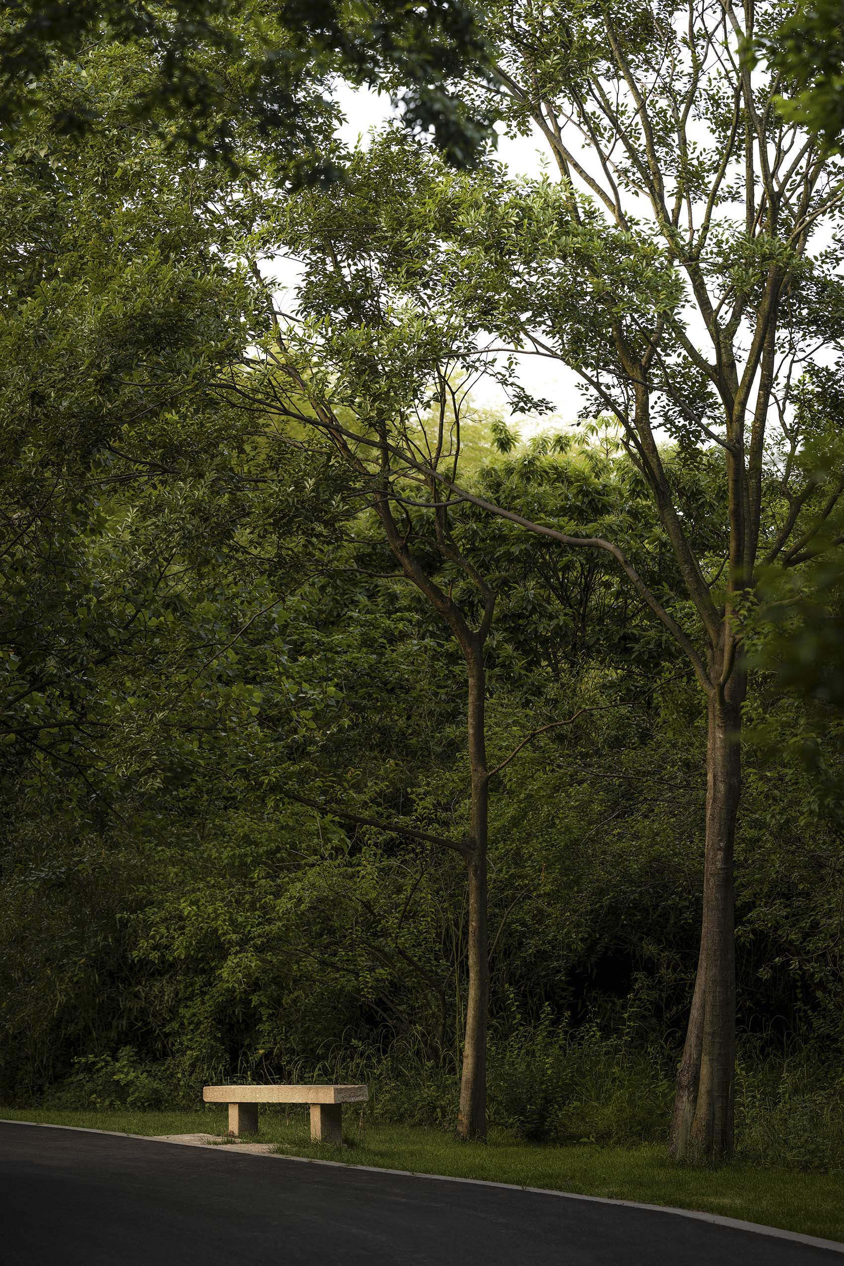 荒野中的明灯 · 宜兴窑湖镇青鱼湖公园丨Change Studio-55