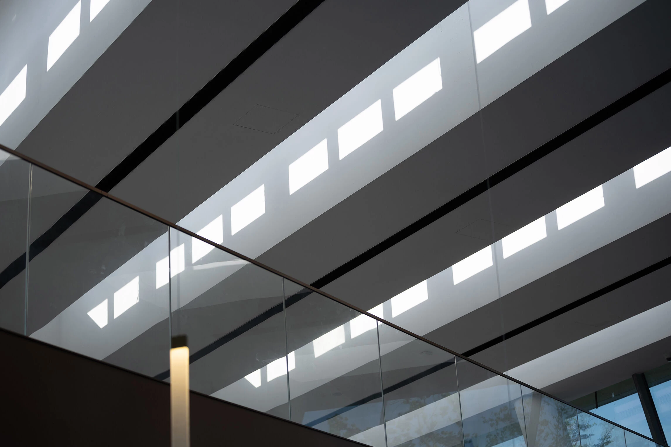 东莞中心公园森空间丨中国东莞丨SPDG,Henning Larsen-37