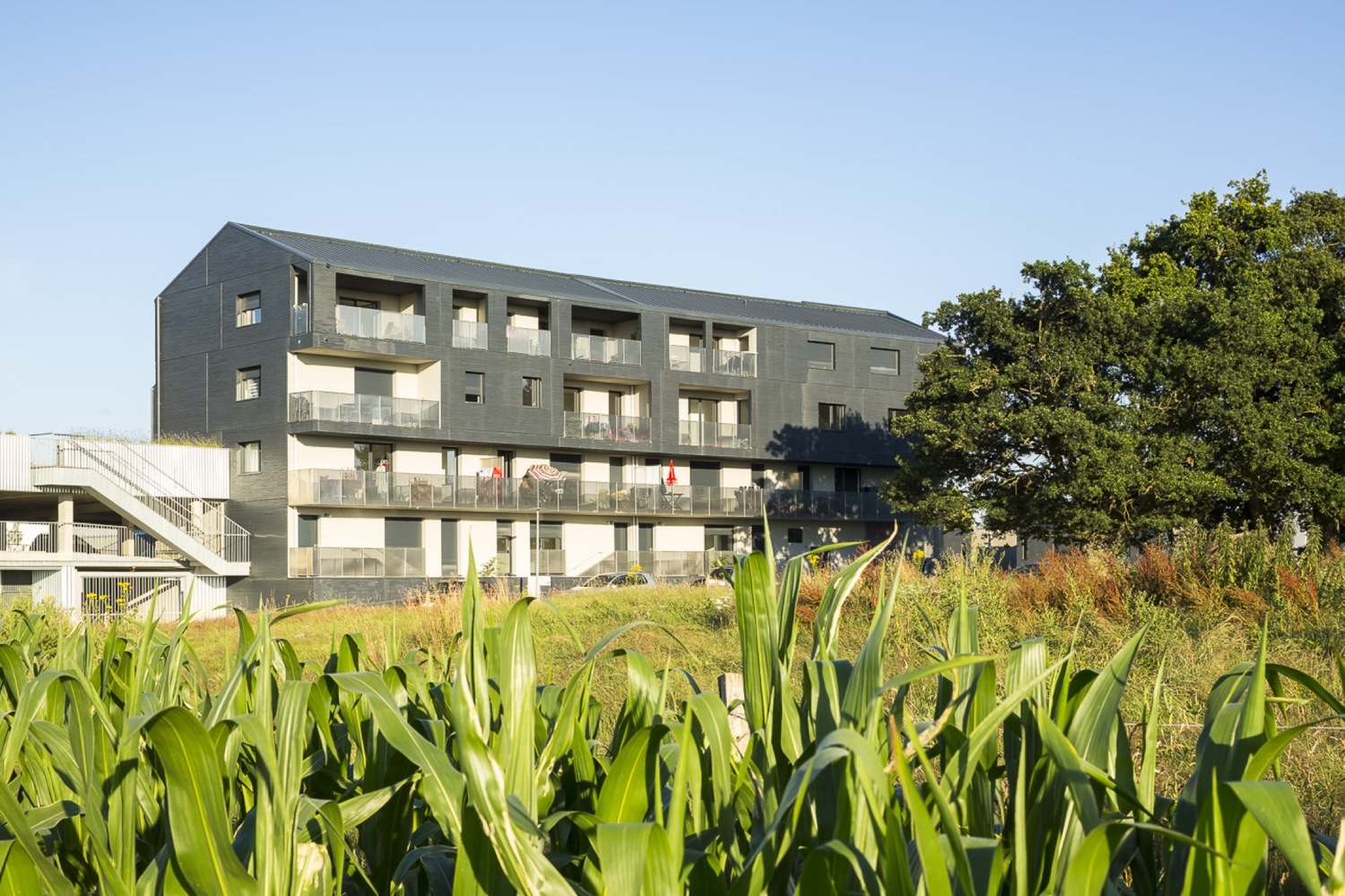 法国勒鲁城市发展区园林城市风格延续-58