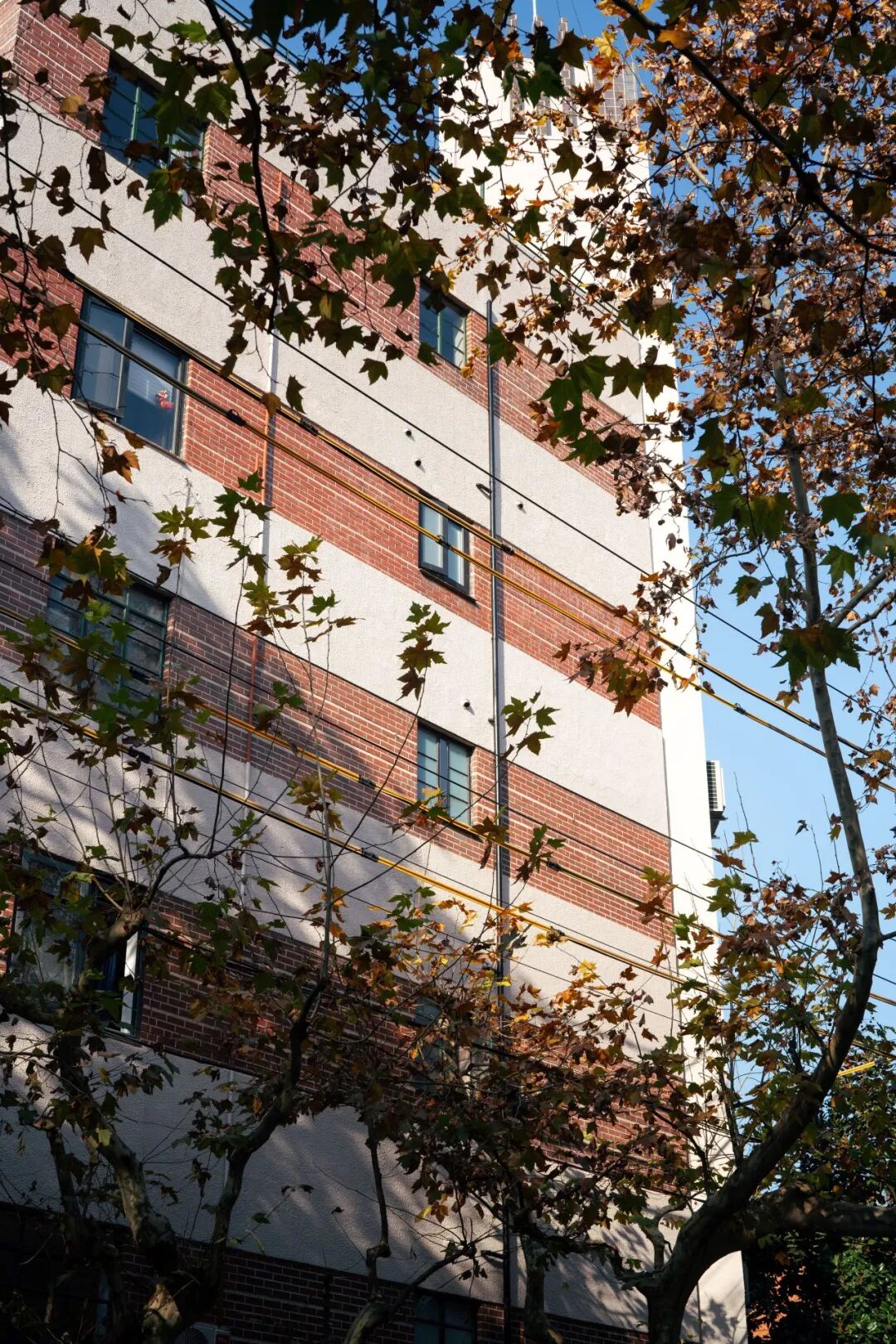 乌鲁木齐南路176号等优秀历史建筑保护性修缮工程·安康公寓丨中国上海丨华东建筑设计研究院有限公司历史建筑保护设计院-55