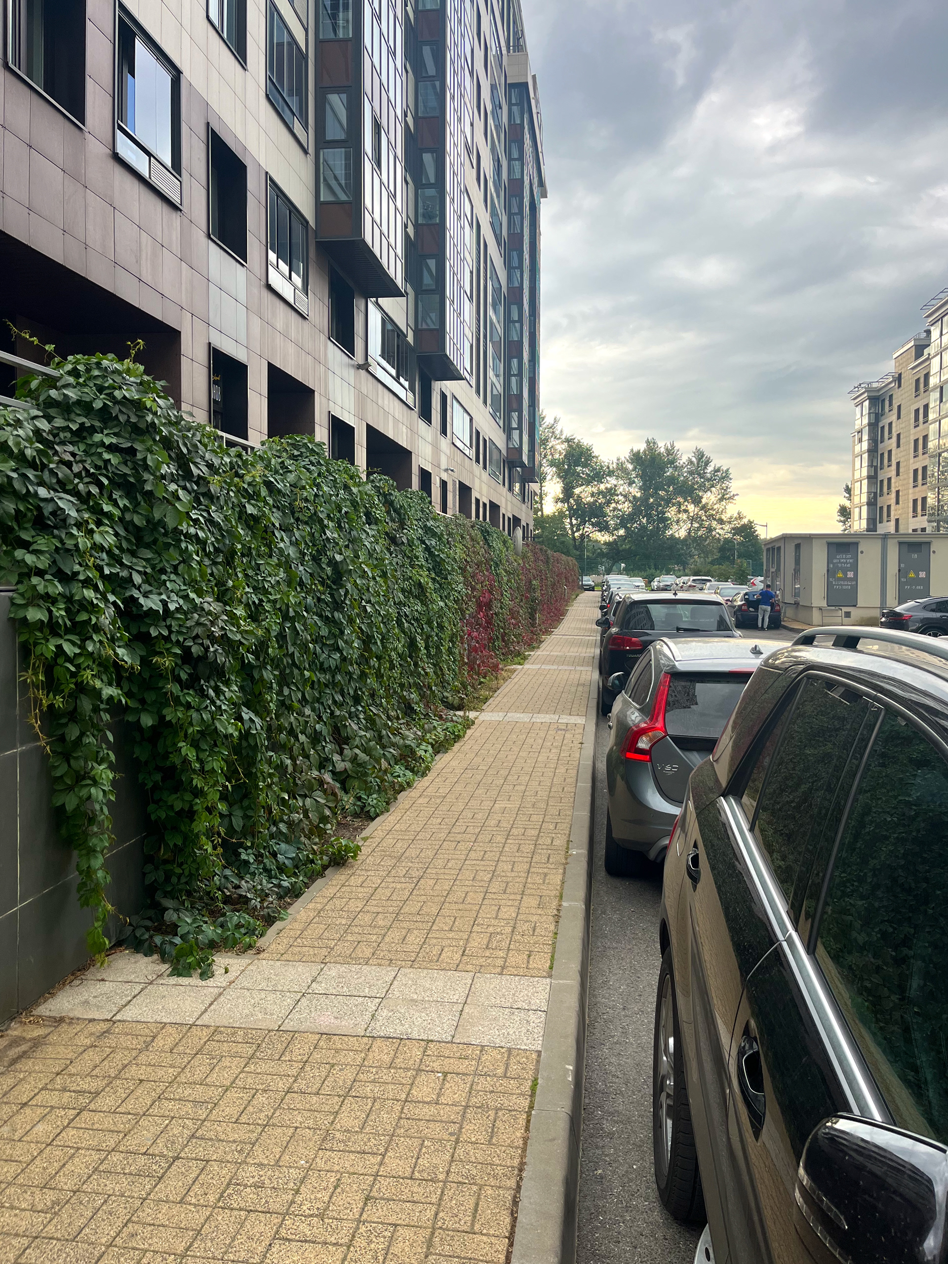 住宅小区绿化项目-20