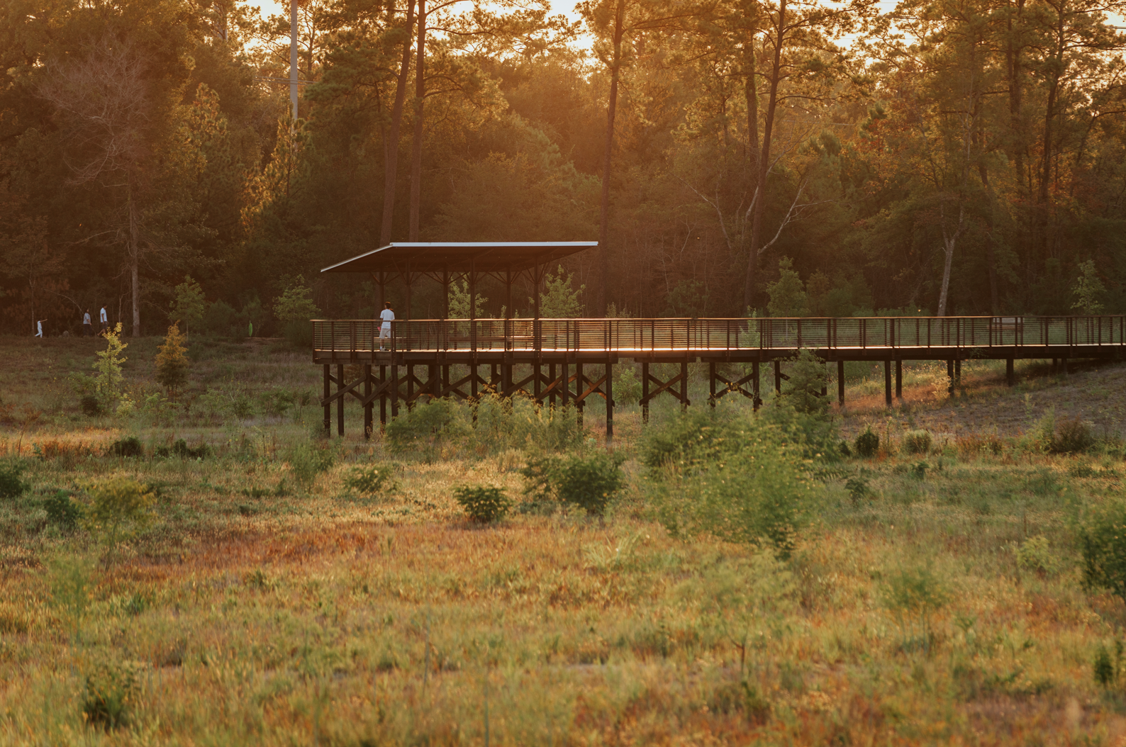 Kinder Land Bridge and Cyvia and Melvyn Wolff Prairie at Memorial Park | Nelson Byrd Woltz Landscape Architects-13