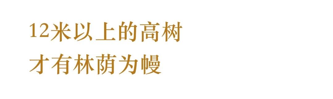 谧庭光叙丨中国上海丨孙建亚,曾蓉（上海亚邑室内设计）-18