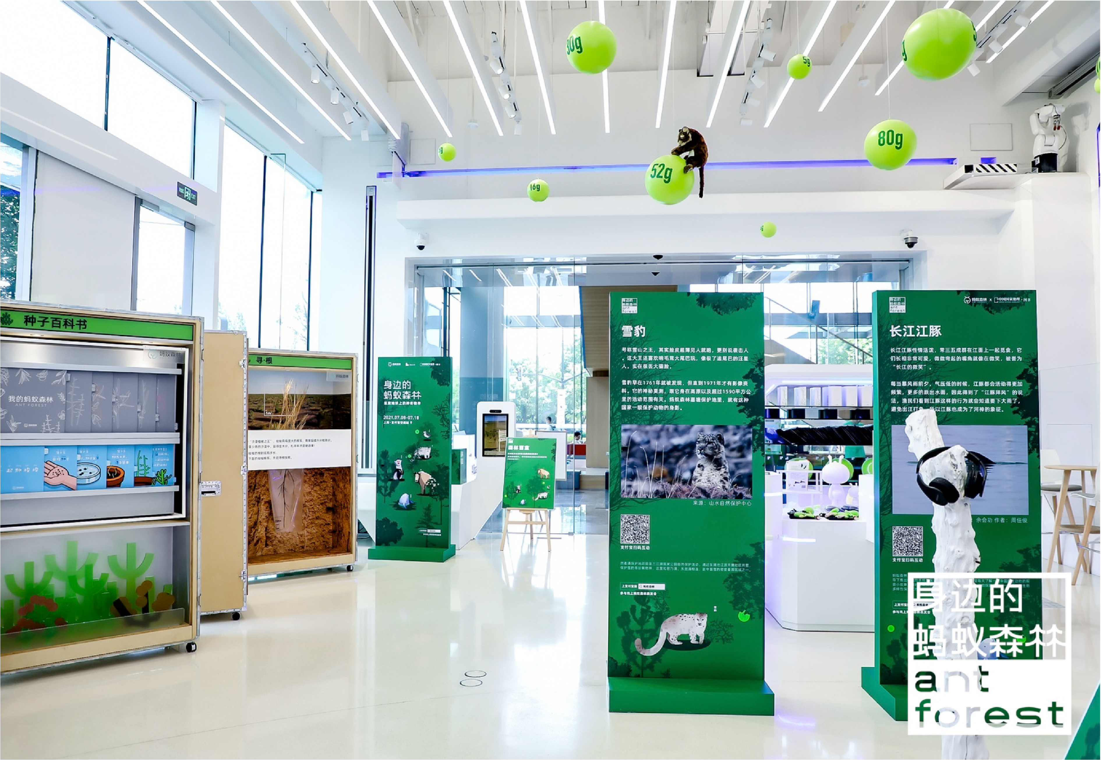 《森林LAB · 城市里的荒漠森林》互动展览丨中国杭州丨蚂蚁森林×不是美术馆-25