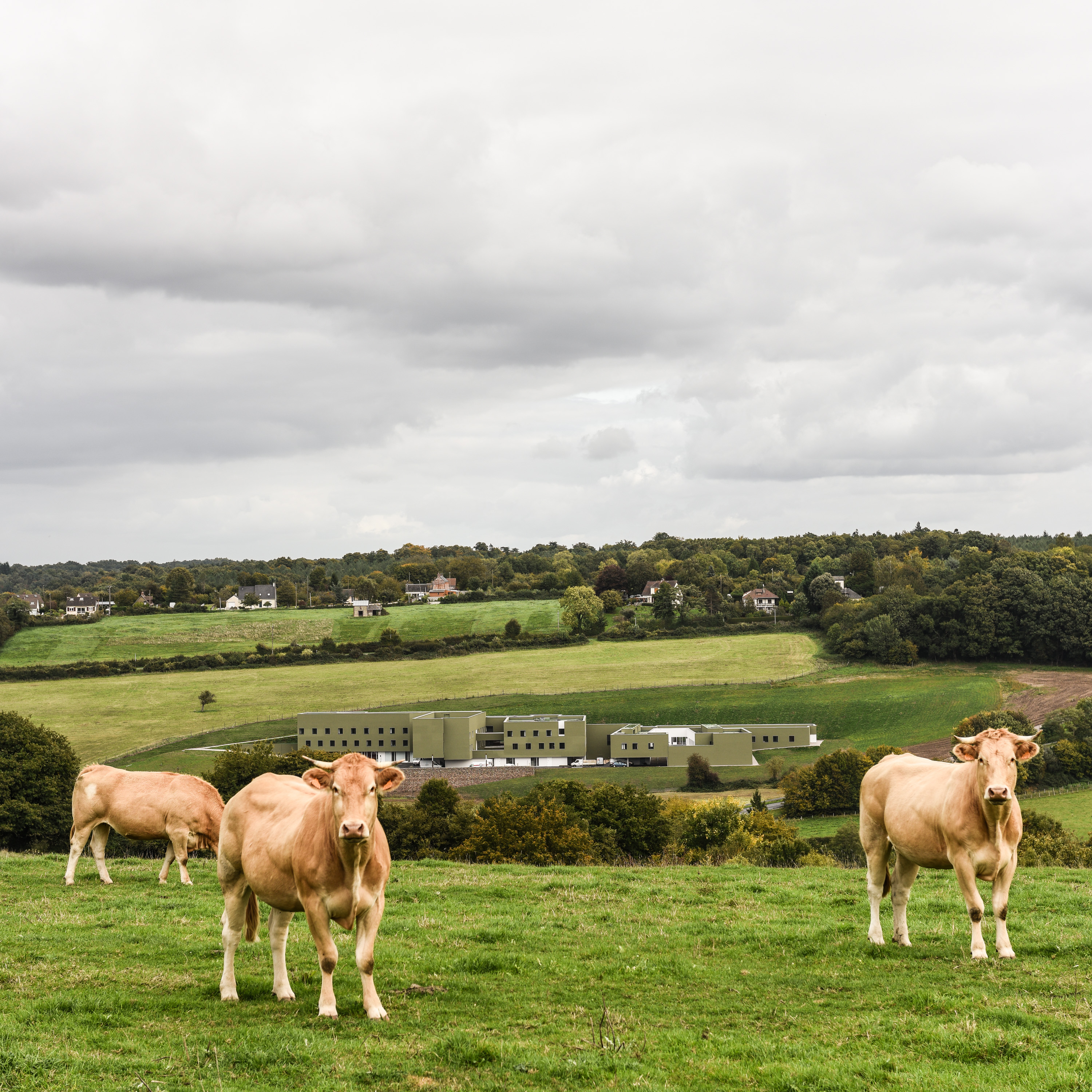 奥贝克的受抚养老年人之家和疗养院-5
