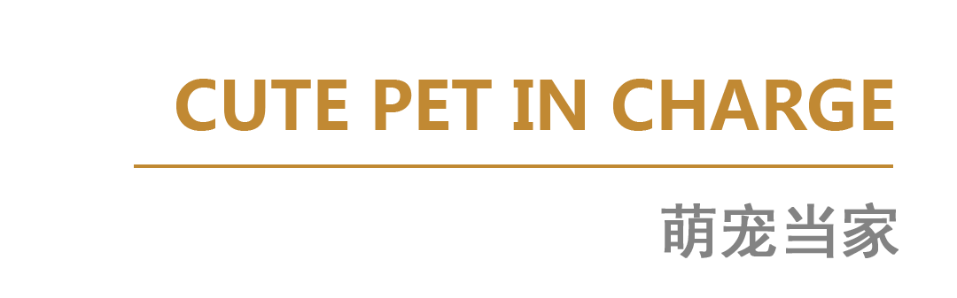 蔚蓝左岸花园现代原木风样板间丨中国深圳-13