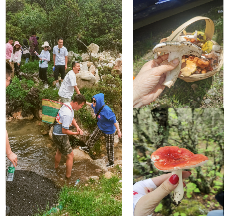 完美一夏 | 康定摄影之旅的室内设计灵感-21