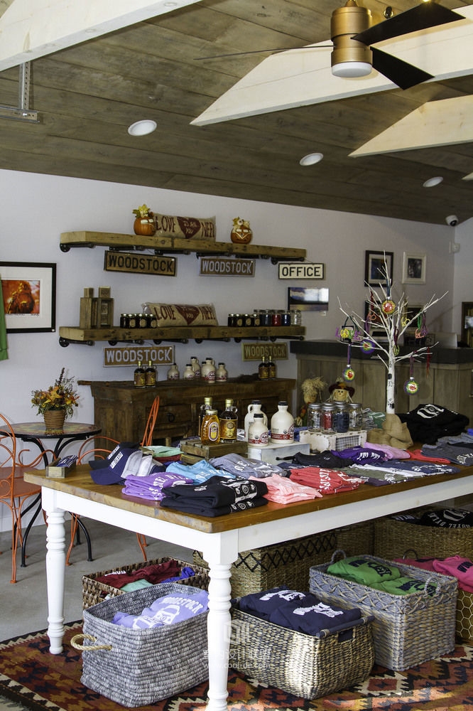 Hotel Dylan 纽约州Woodstock小镇酒店-40