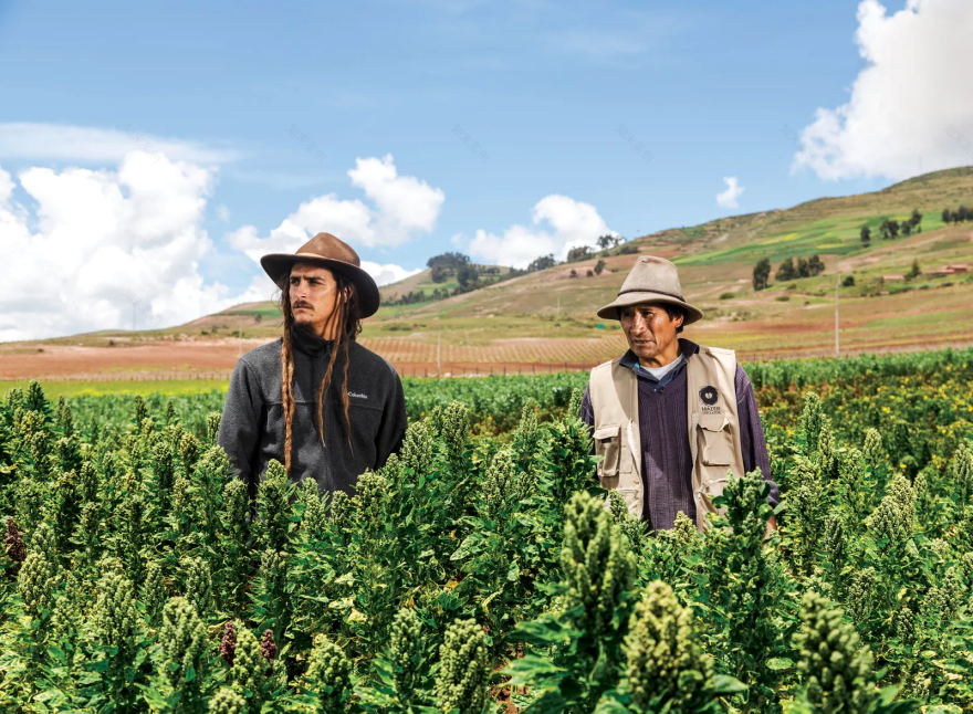 MIL 餐厅丨秘鲁库斯科丨Estudio Soroche 设计工作室-131