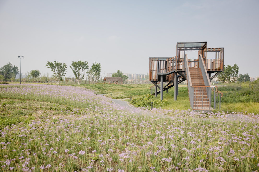 天府绿道·萌宠乐园｜良相设计-111