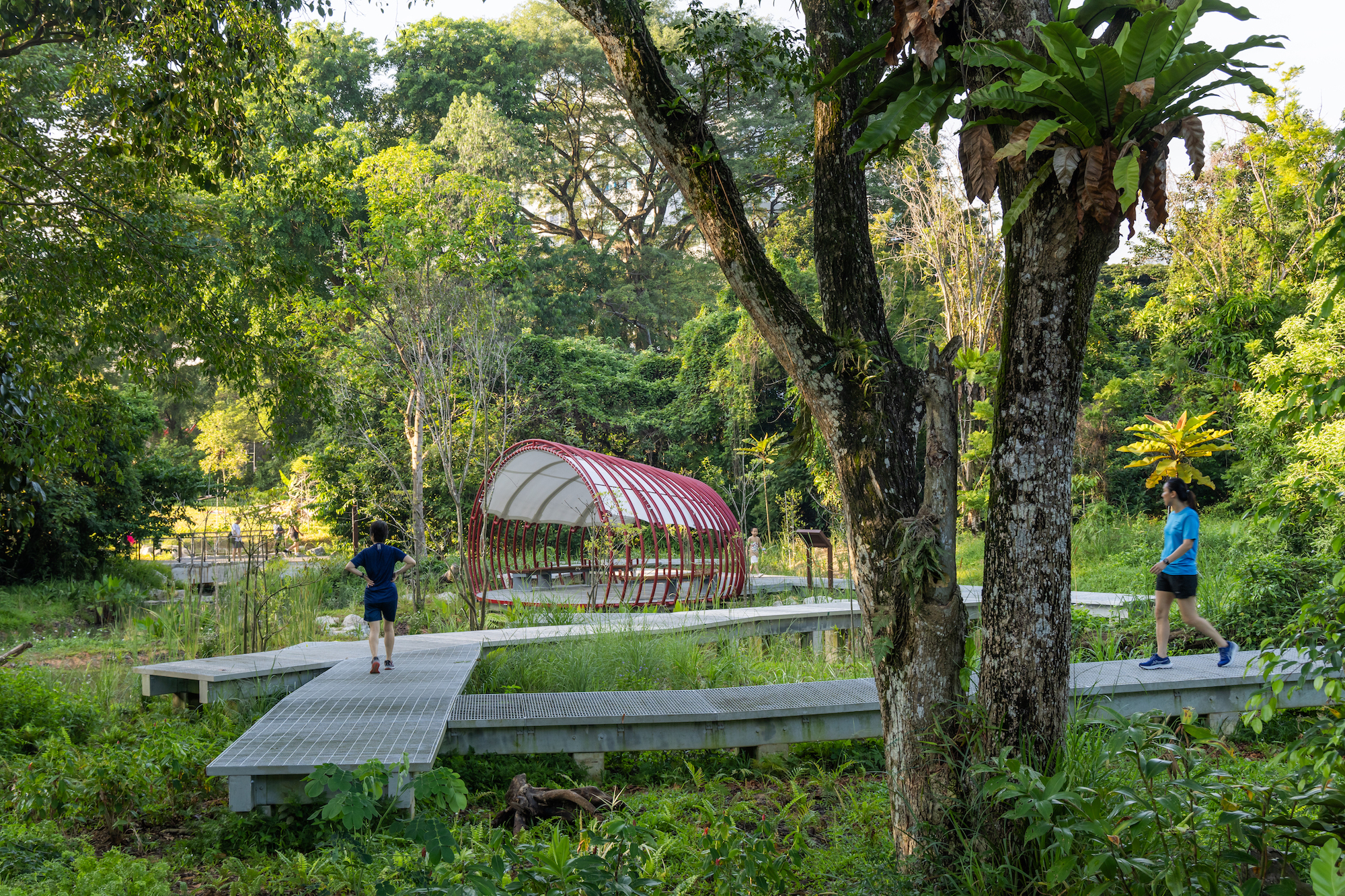 比达达利公园丨新加坡-29