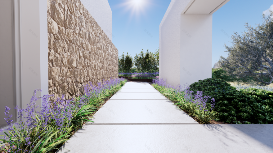 帕尔马雷斯(奥迪埃雷)-11